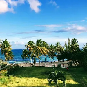 Les Pieds Dans L'eau Archipel Et Savanne , Le Gosier (Grande-Terre) Guadeloupe