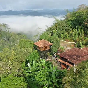 Spice Forest Plantation Homestay, Thekkady , Vandiperiyar India